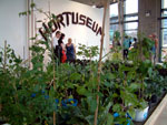 TAC-Hortuseum-01.jpg